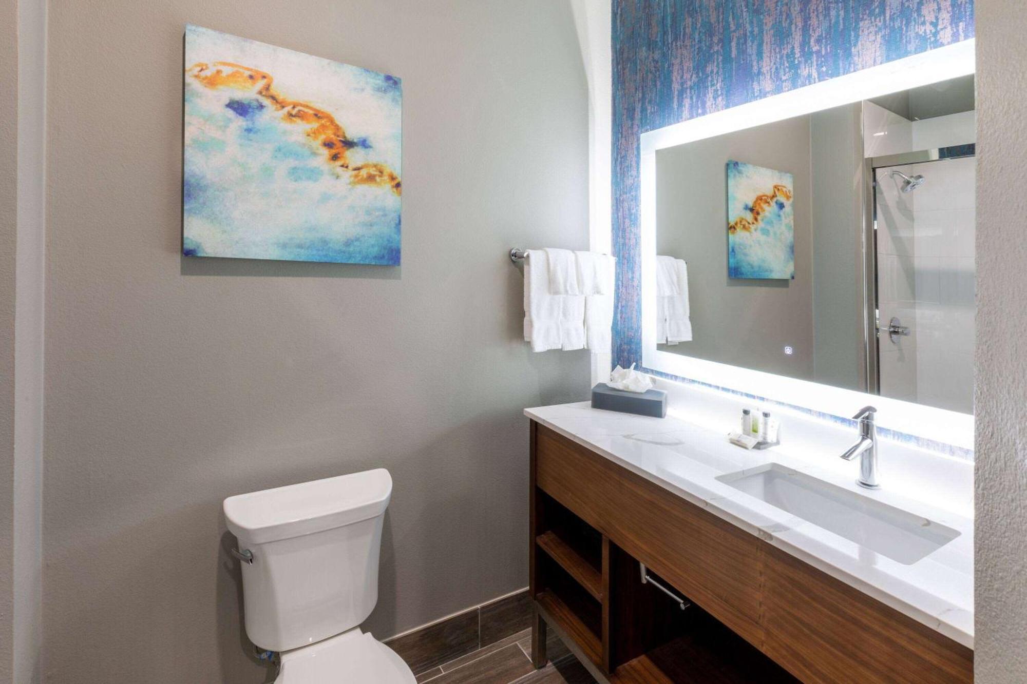 La Quinta Inn & Suites By Wyndham Dallas - Frisco Stadium 外观 照片
